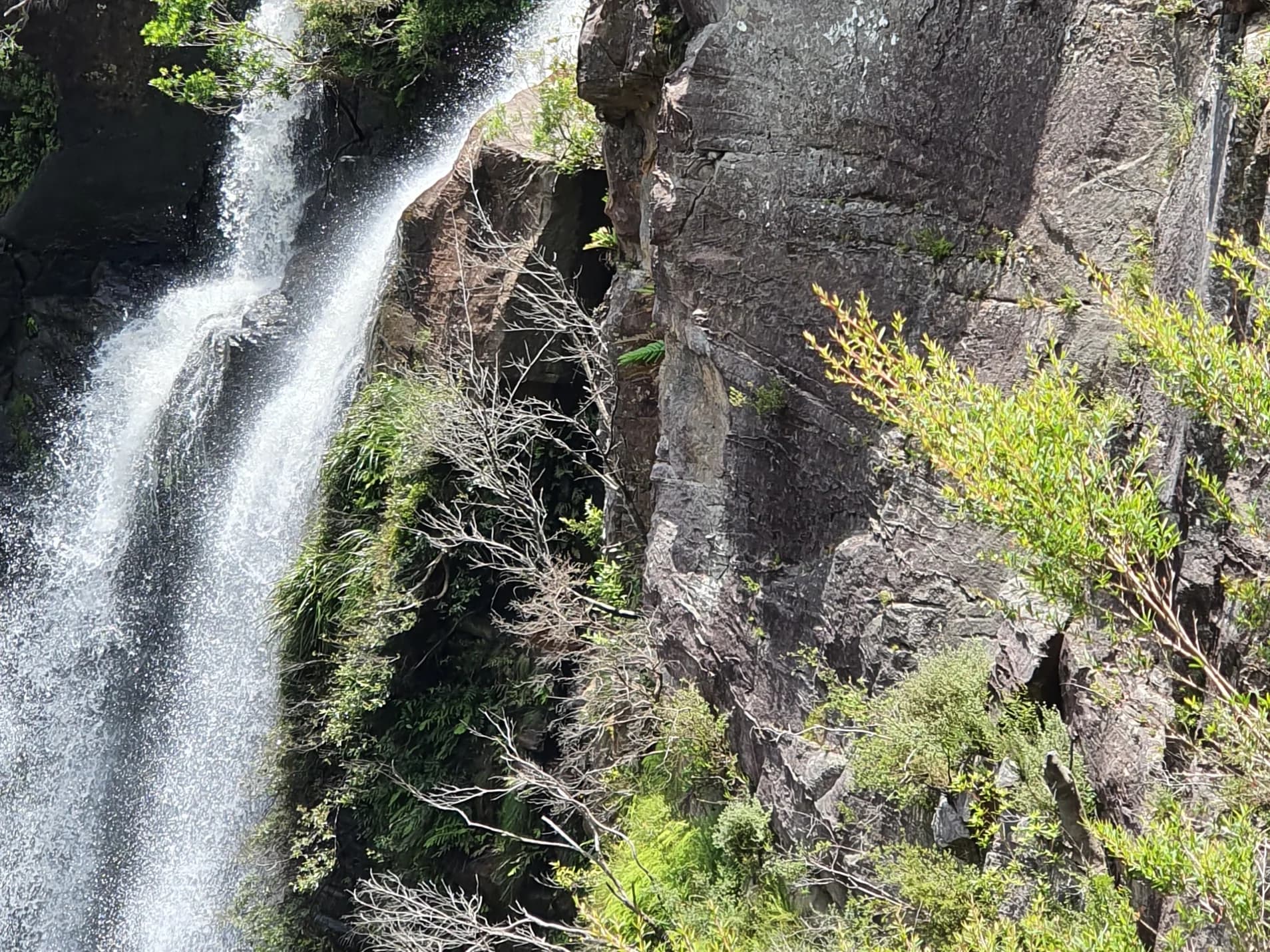 Carrington Falls pouring over the sandstone cliff into the gorge
