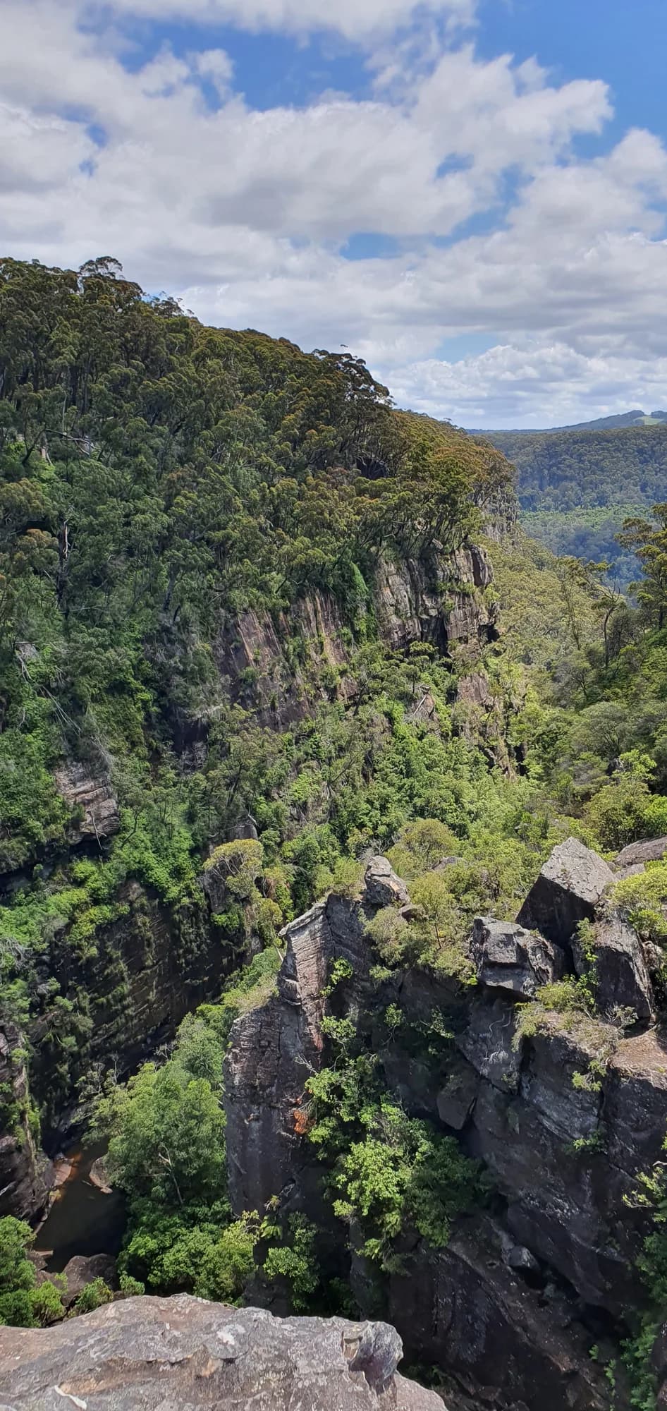 The deep sandstone gorge below Carrington Falls, thick with bush