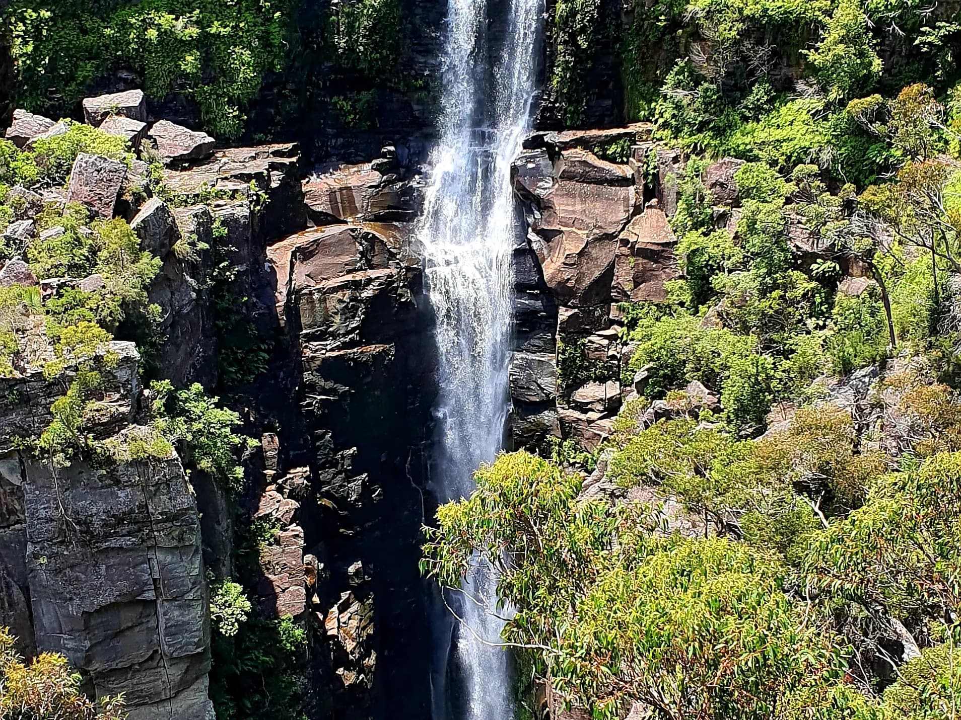 Carrington Falls dropping into its sandstone gorge through the bush