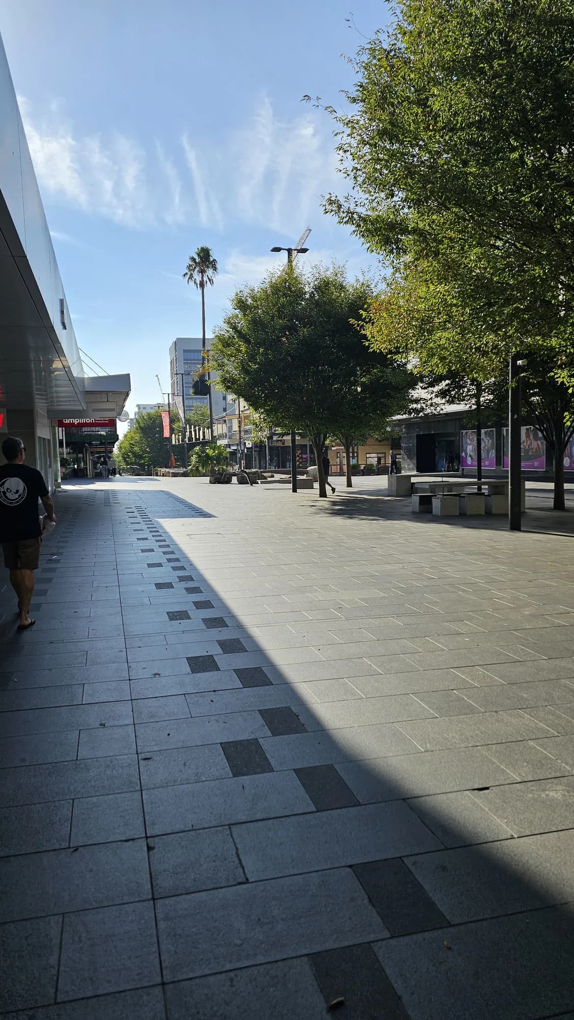 Crown Street Mall in the morning sun, palms and street trees along the paved mall