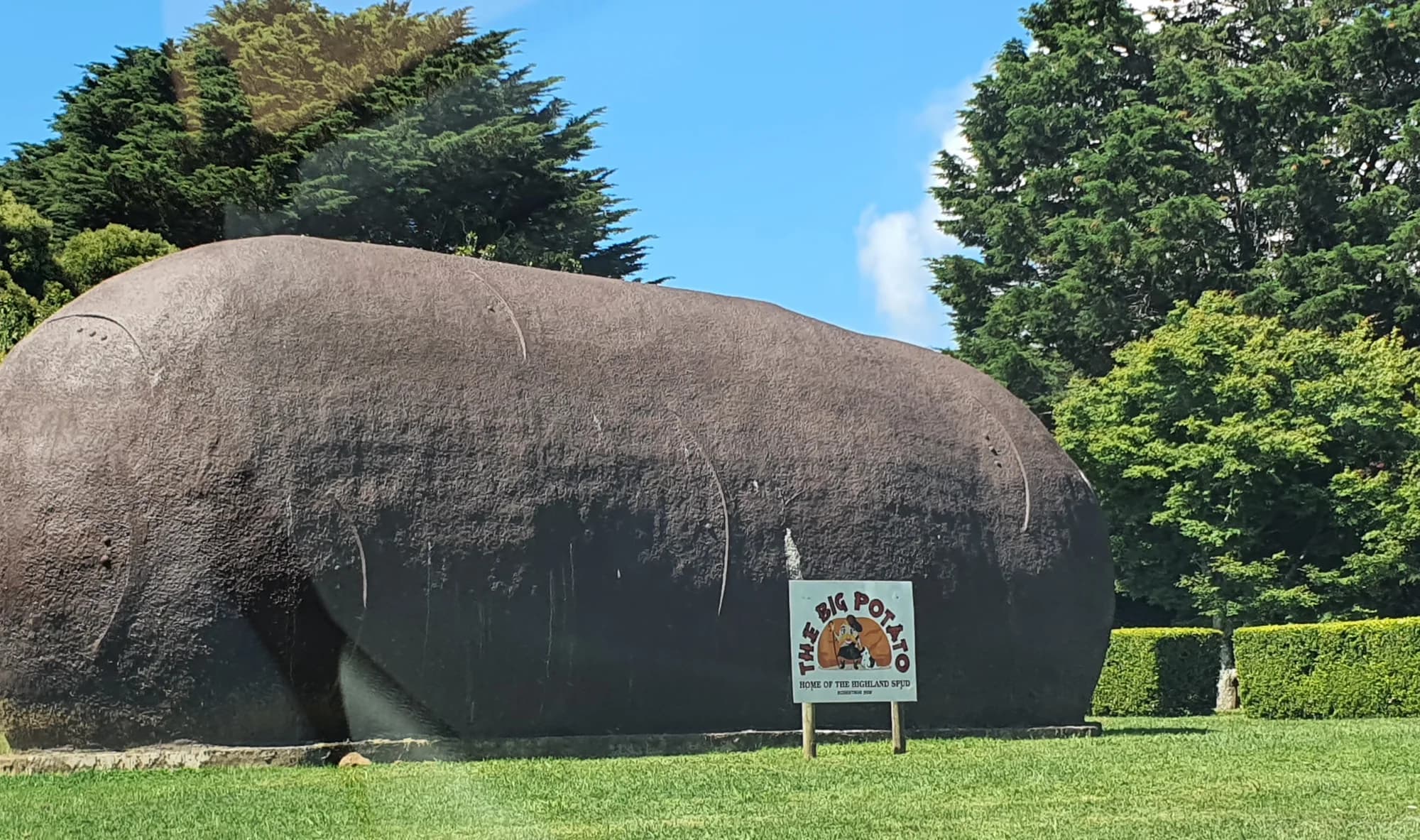 The Big Potato on the lawn at Robertson, under tall trees and a blue sky
