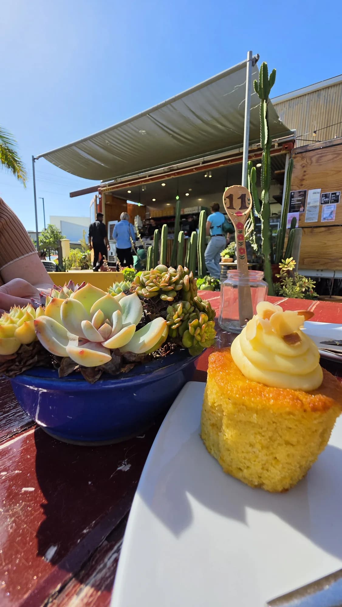 The open shed and cactus garden at Timbermill Studios in Bulli, with a cupcake on the table