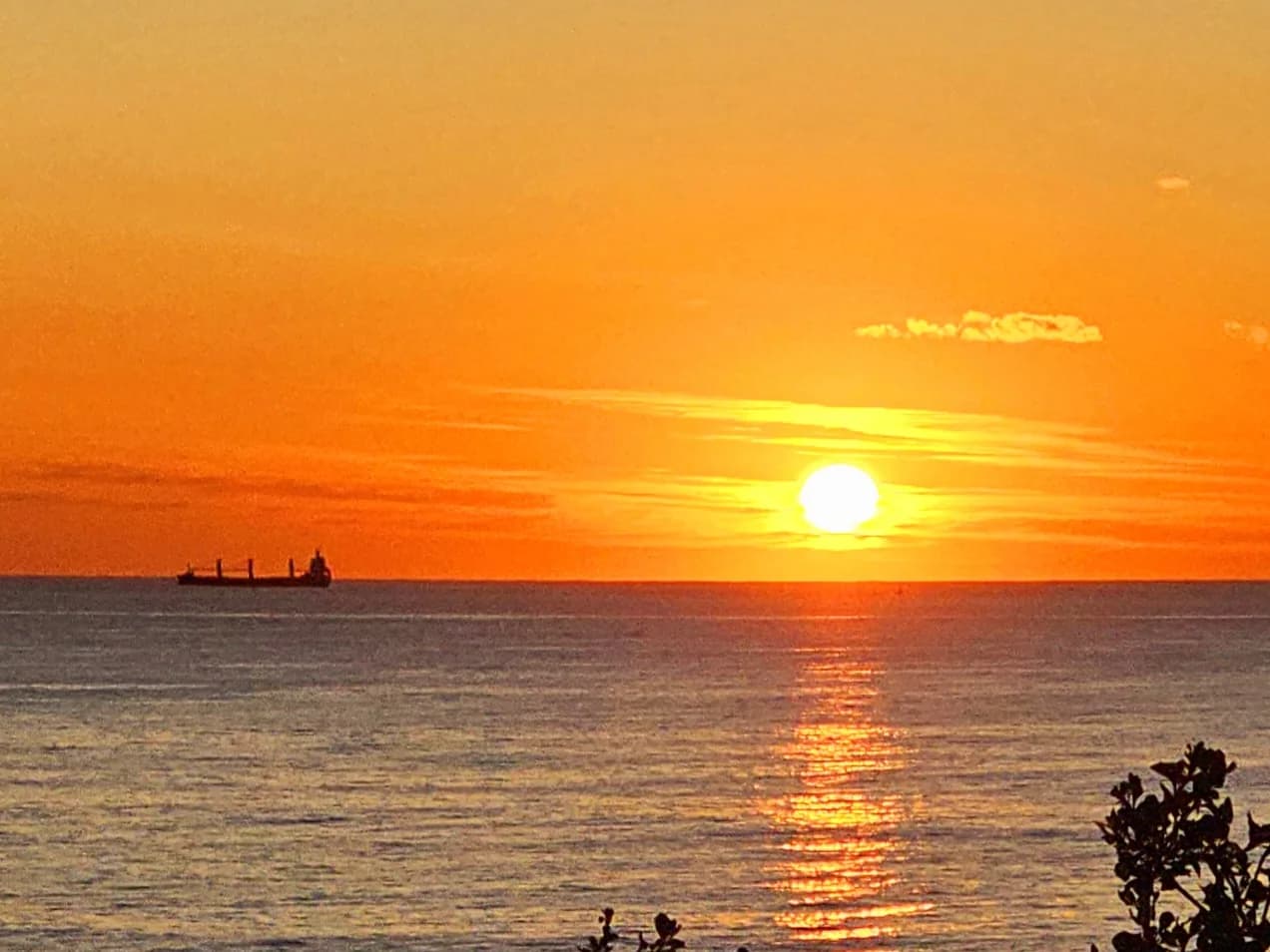 The sun rising over a calm sea from Flagstaff Point, a ship on the horizon