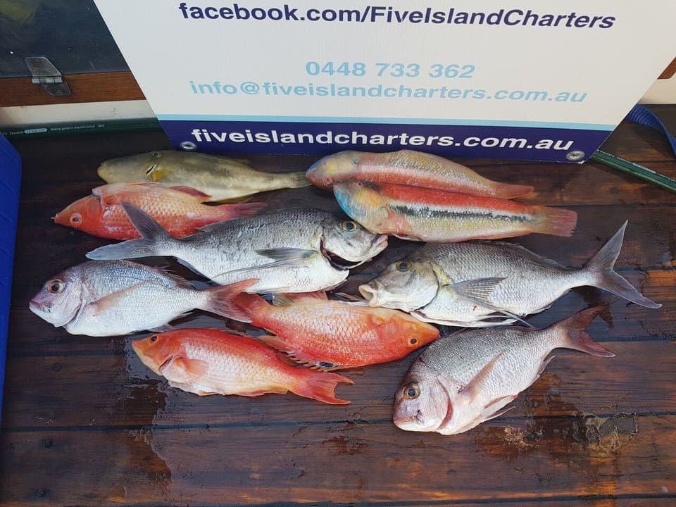 Five Island Charters photo 3