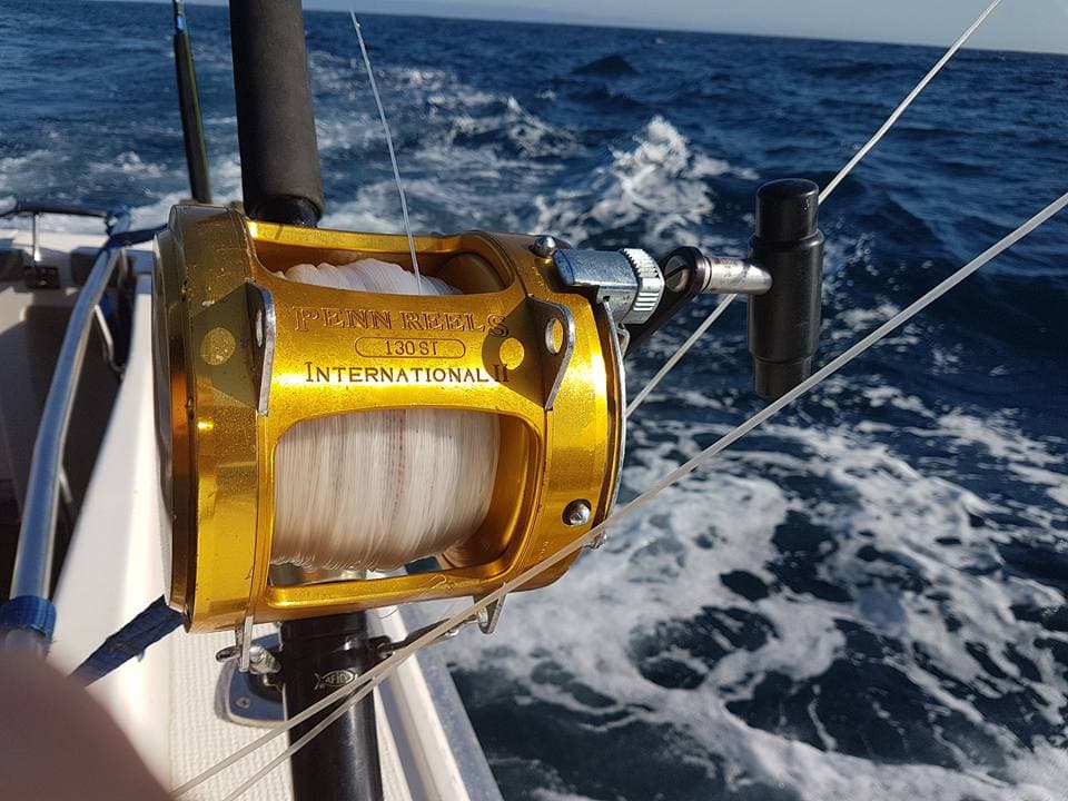 Five Island Charters photo 4