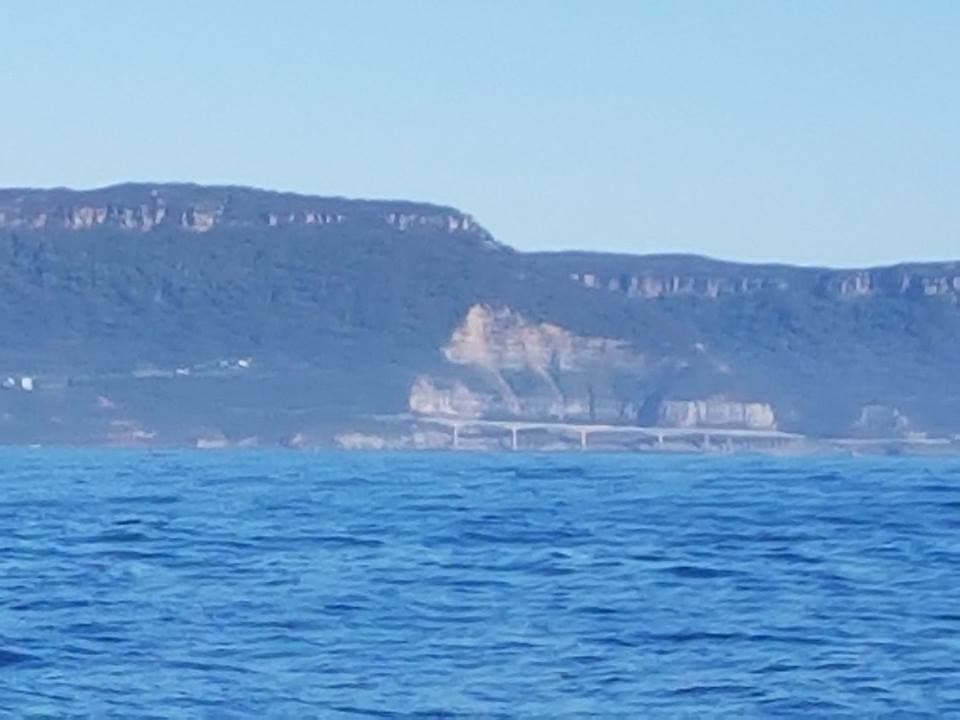 Five Island Charters photo 5