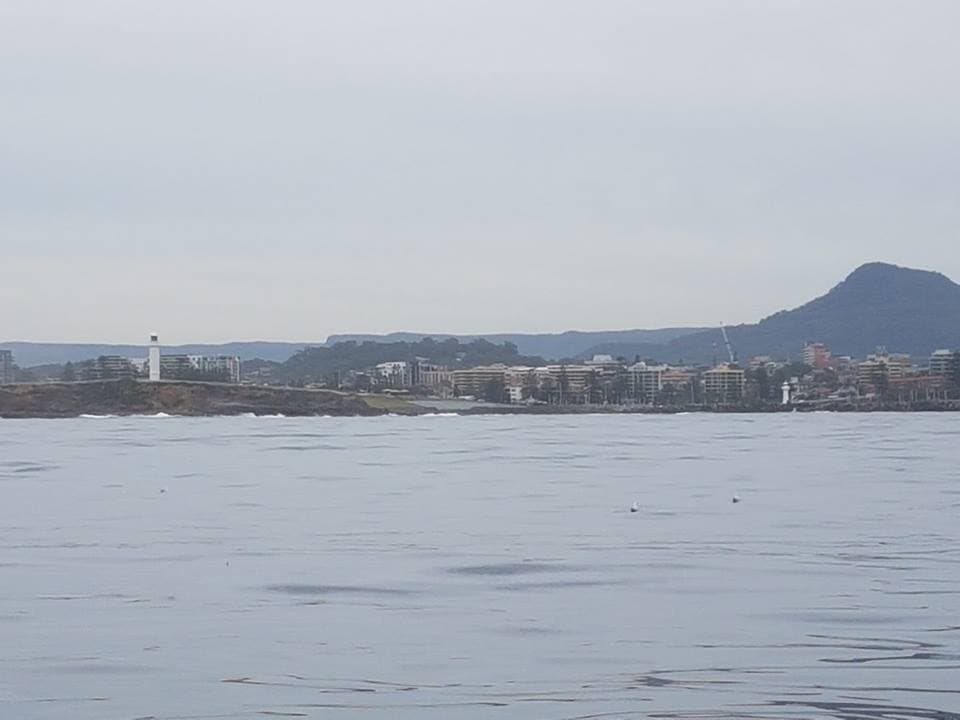 Five Island Charters photo 9