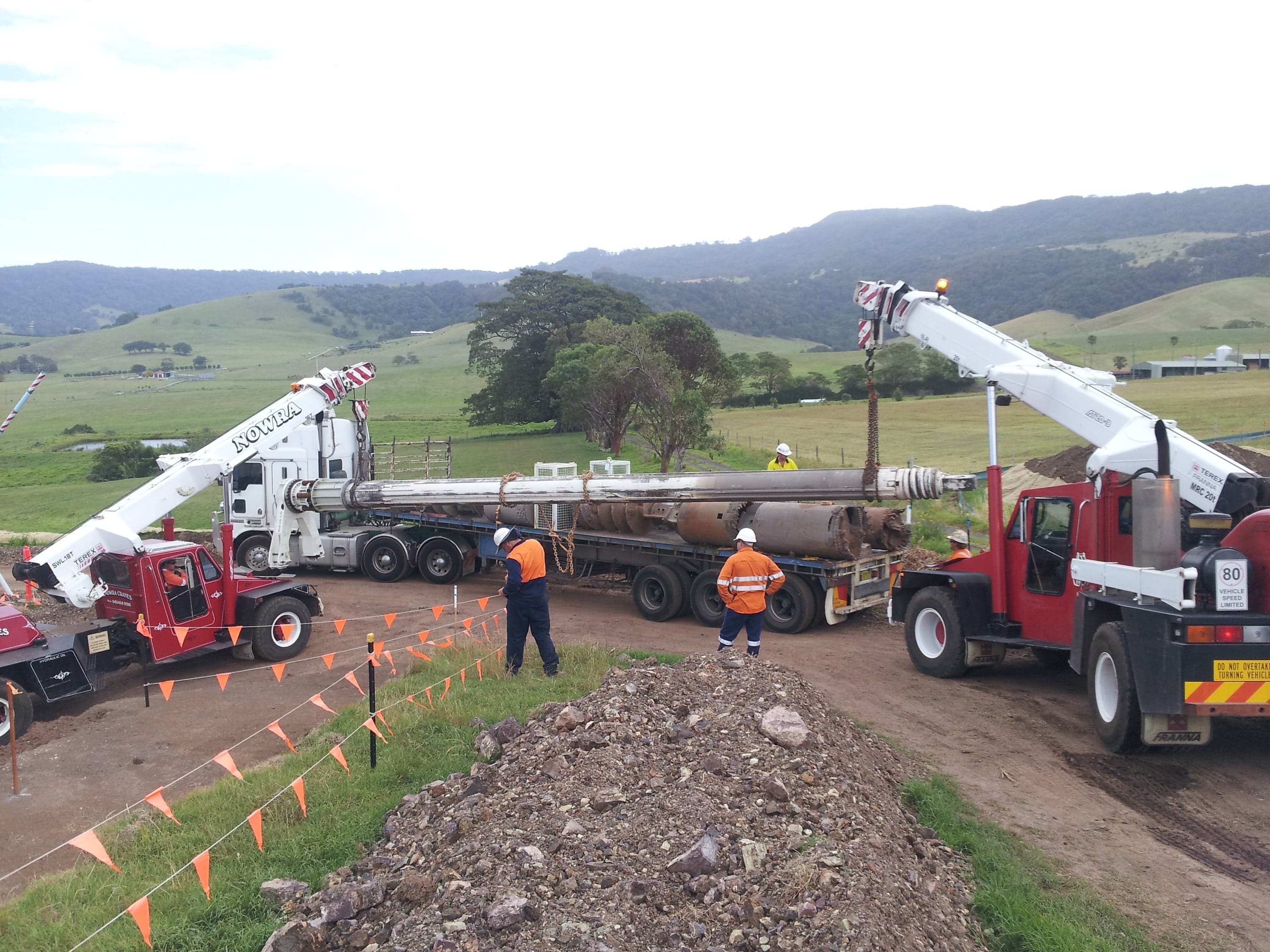 Shoalhaven Cranes photo 4