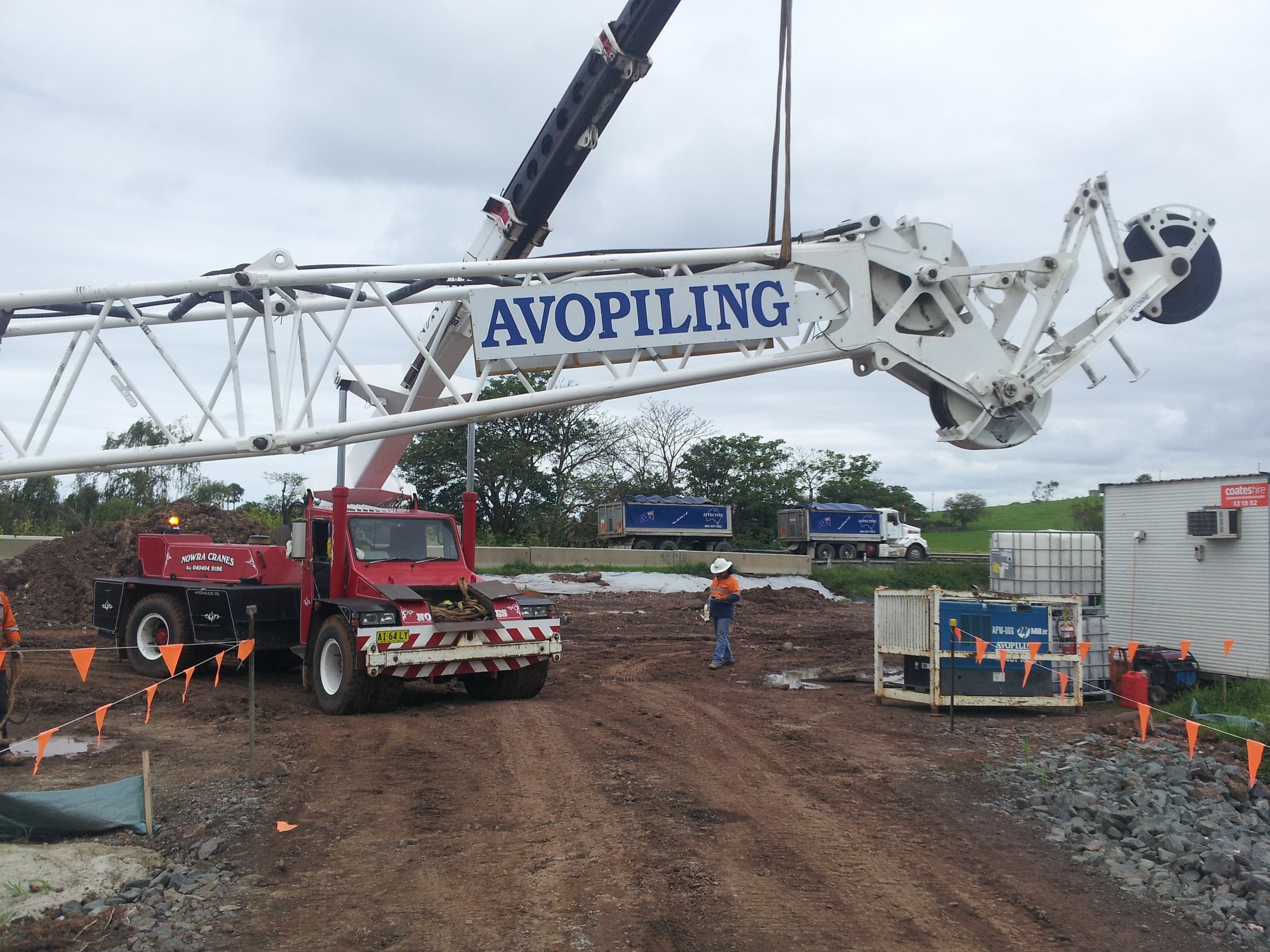 Shoalhaven Cranes photo 9