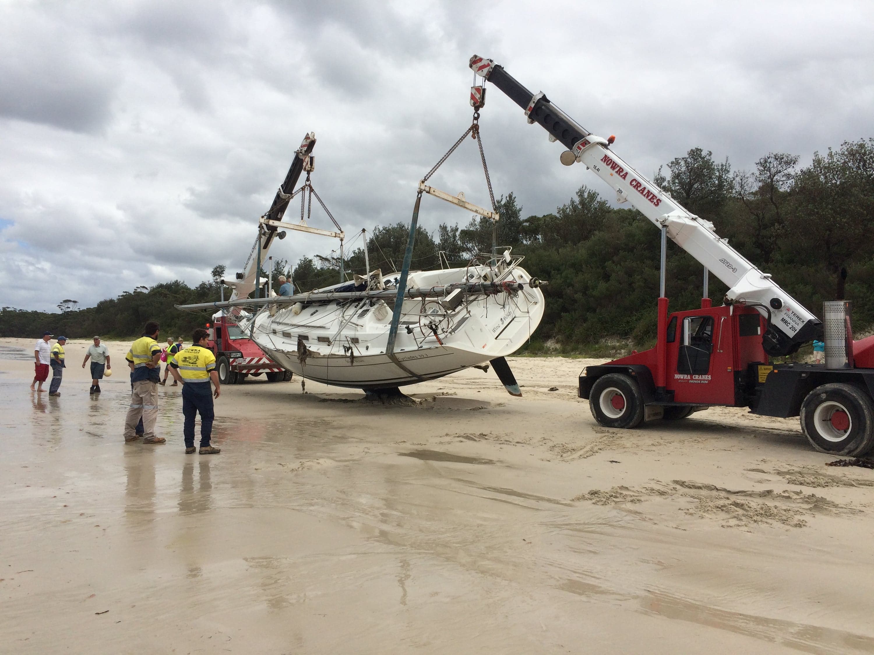 Shoalhaven Cranes photo 11