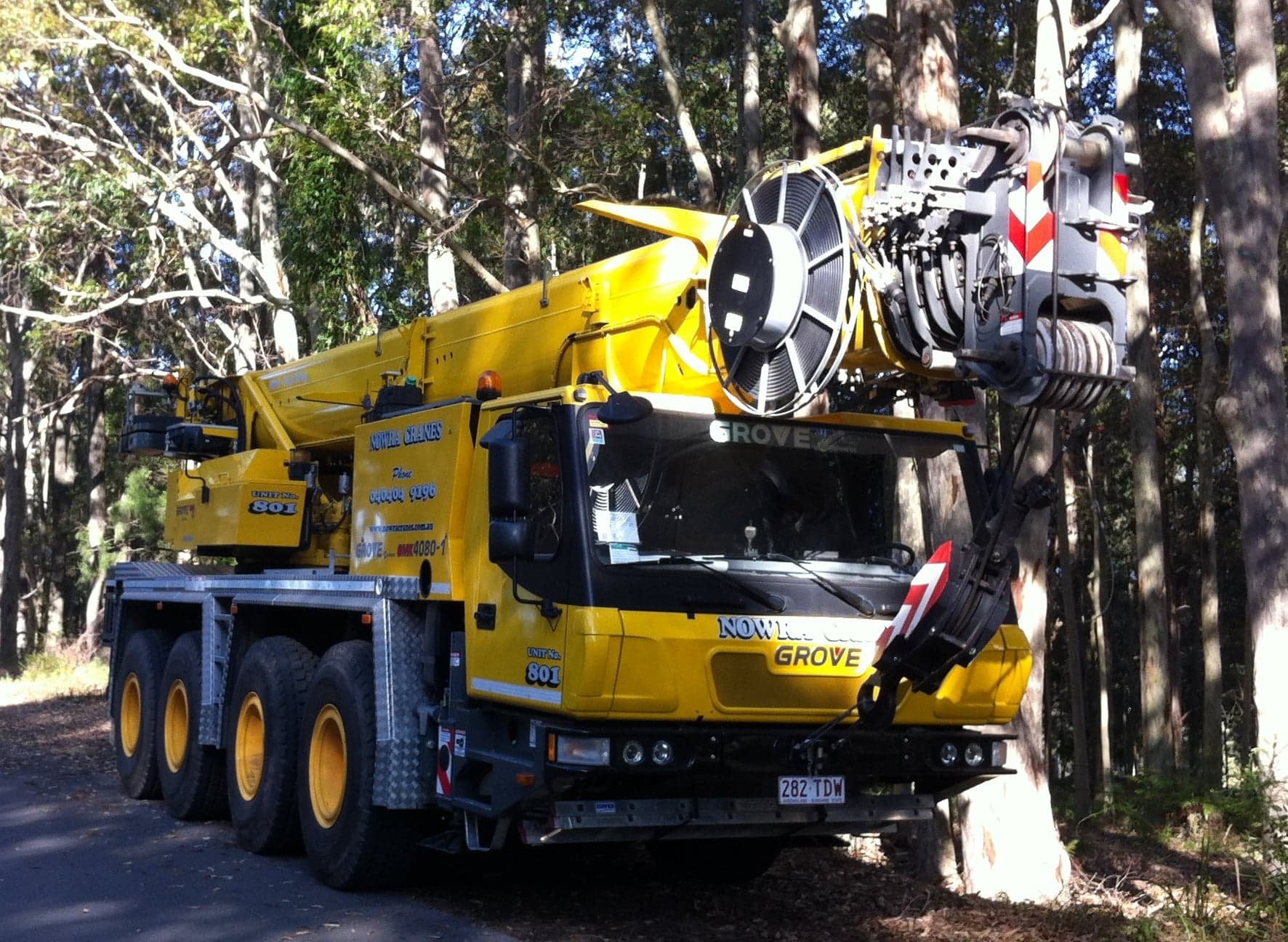 Shoalhaven Cranes photo 12