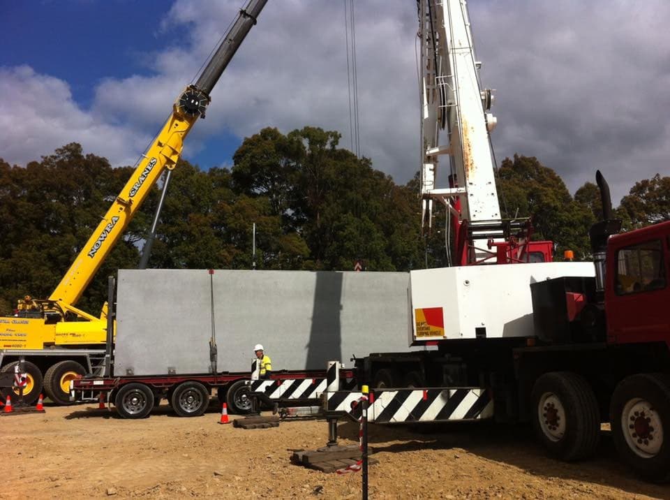 Nowra Cranes photo 5