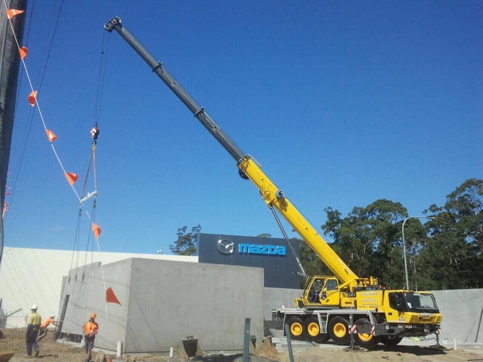 Nowra Cranes photo 6