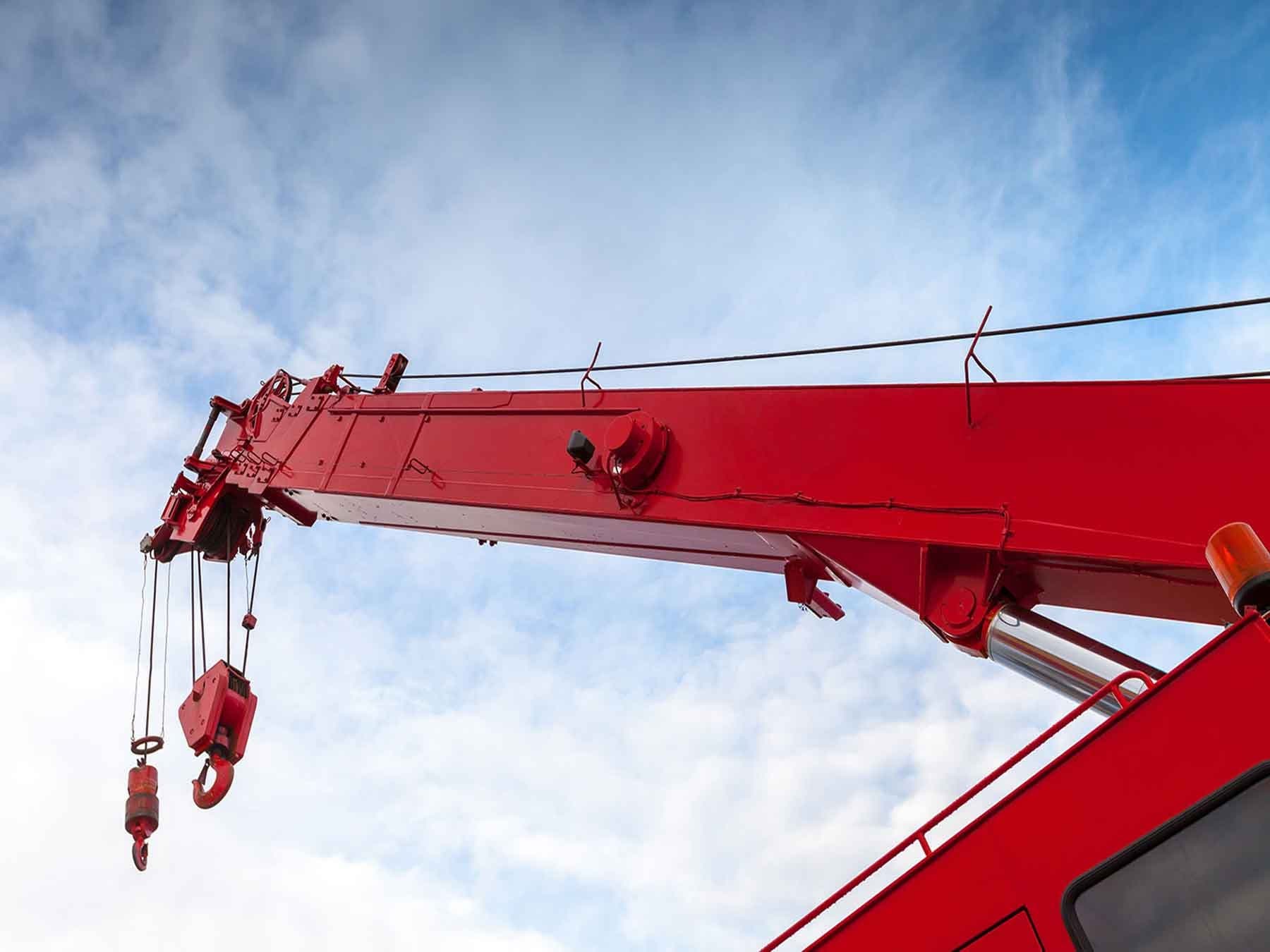 Nowra Cranes photo 9