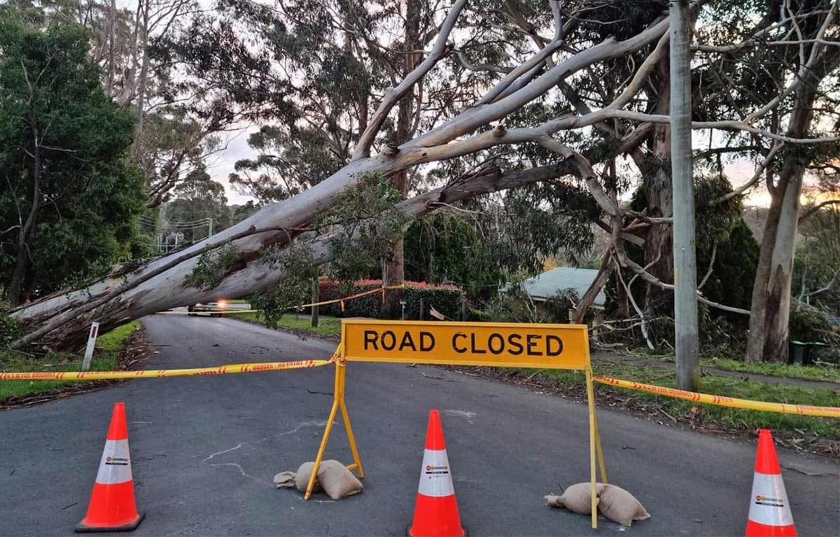 Stop Slow Traffic Control (NSW) PTY LTD photo 4